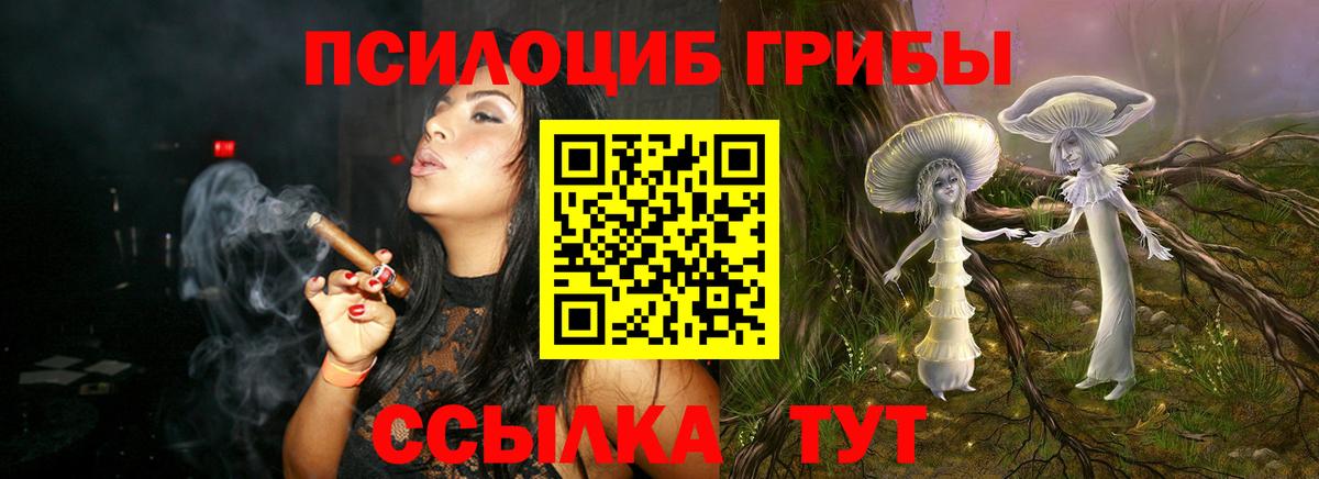 Ростов Великий  Галлюциногенные грибы Psilocybe  Псилоцибиновые грибы Magic Shrooms  Вход с VPN 